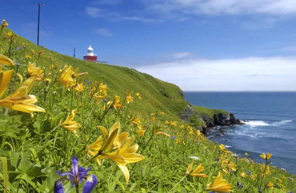 【静岡・新富士・三島発】 ひがし北海道・さいはて秘境18景をめぐる4日間 知床・野付・根室・霧多布4つの半島 ~本土最東端「納沙布岬」と「花咲線」に乗車するさいはて紀行~2